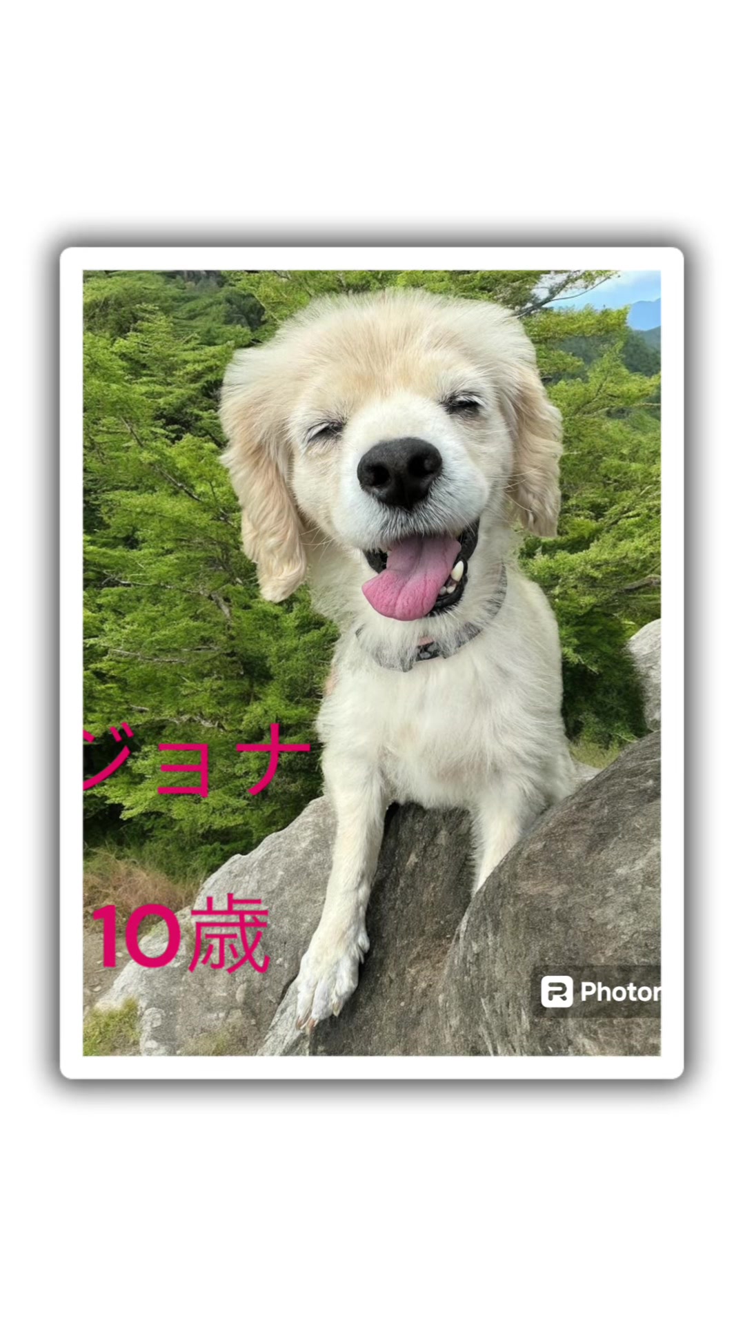 @オクラ