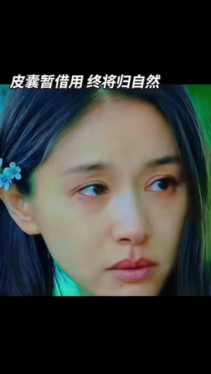 @陳皮