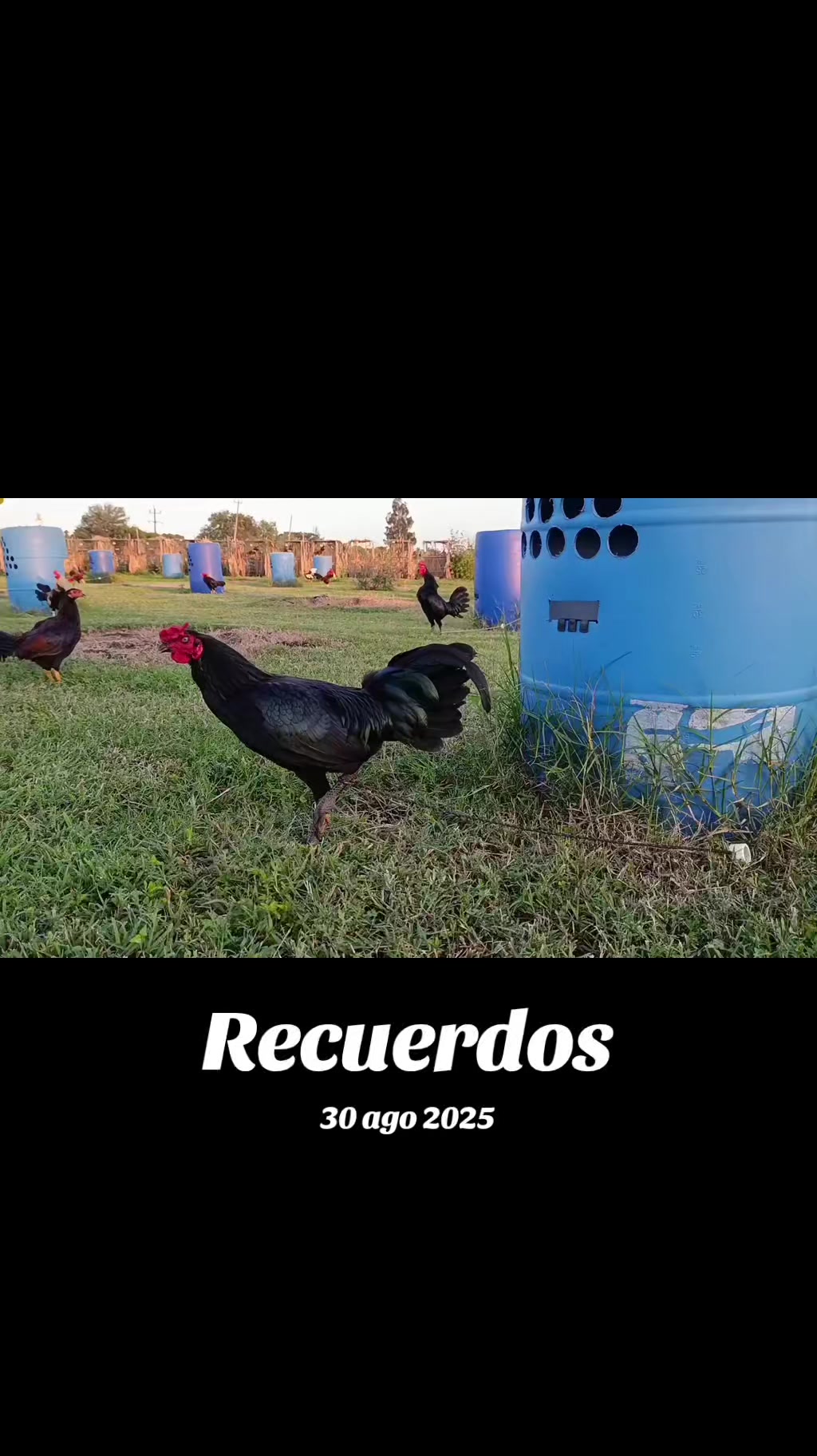 @Toño Moreno