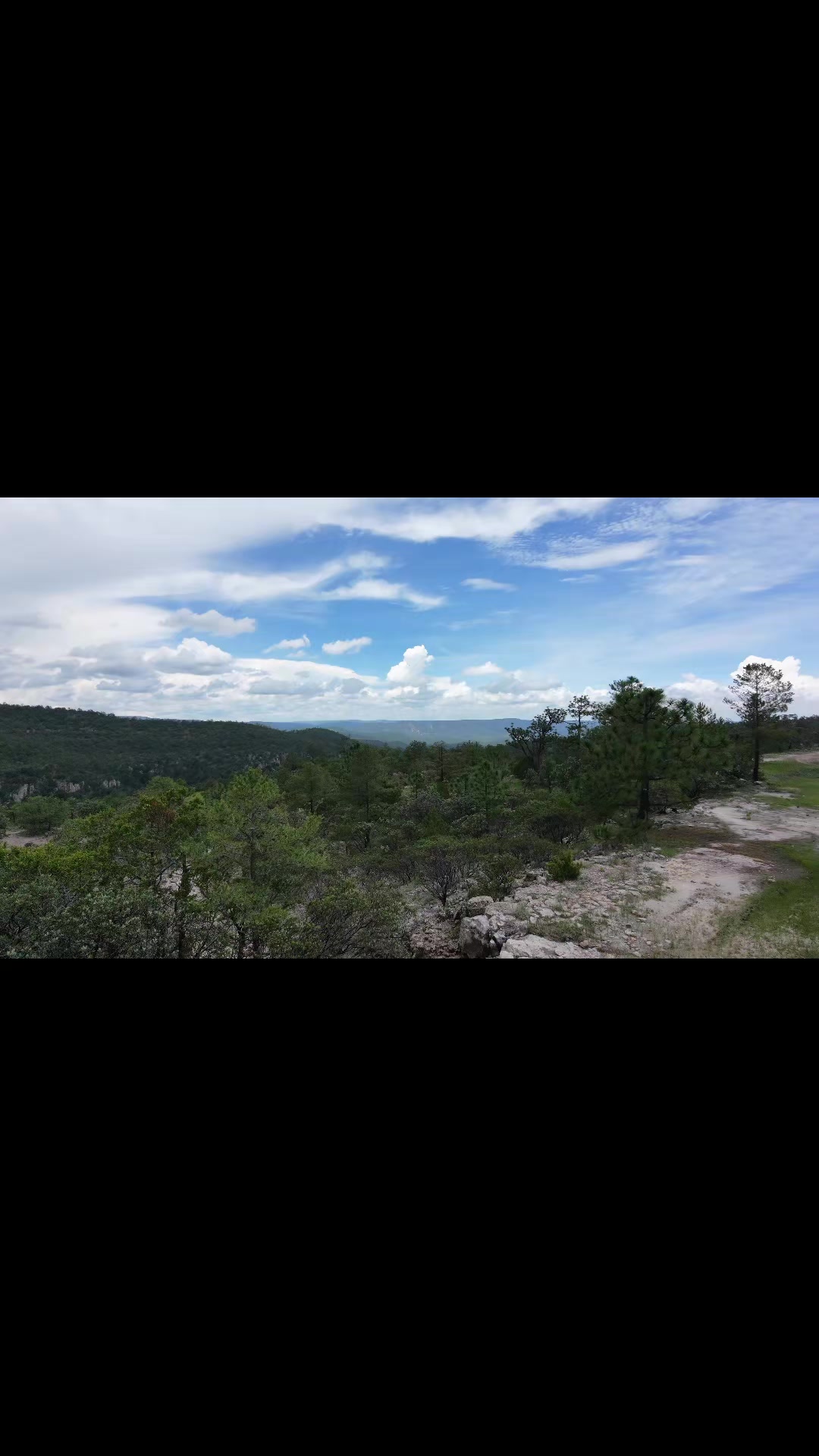 @Black Sheep Trail