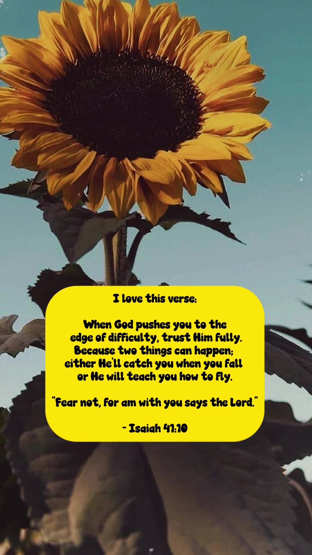 @🌻💚🐆🐿️SunFlowerLuvR🖤🥀🤘🌻