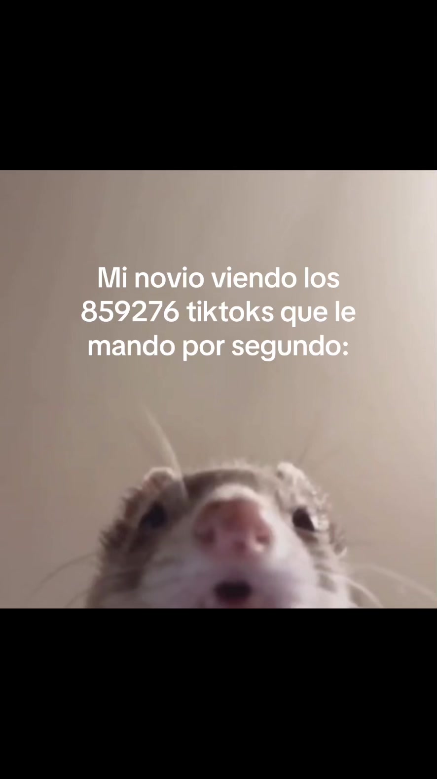 @xavi.mv