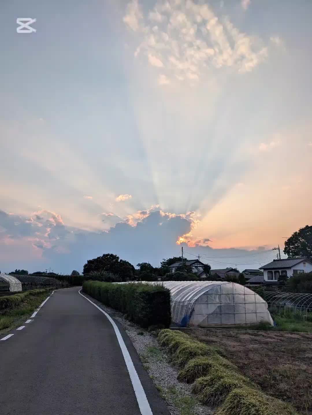 @バネ