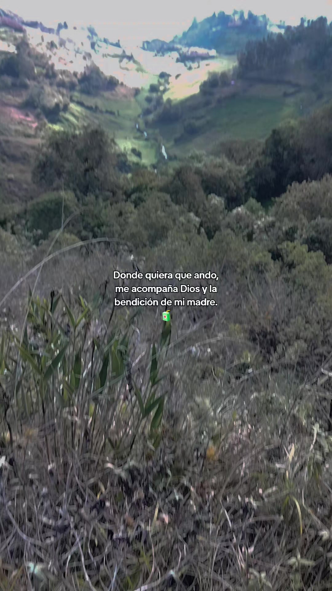 @André contreras