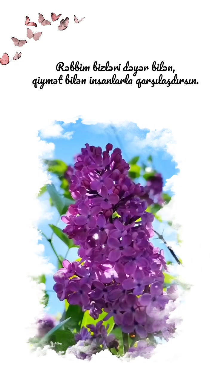 @❦︎𝓴𝓸𝓷𝓾𝓵𝓭𝓾𝓷𝔂𝓪𝓶❦︎
