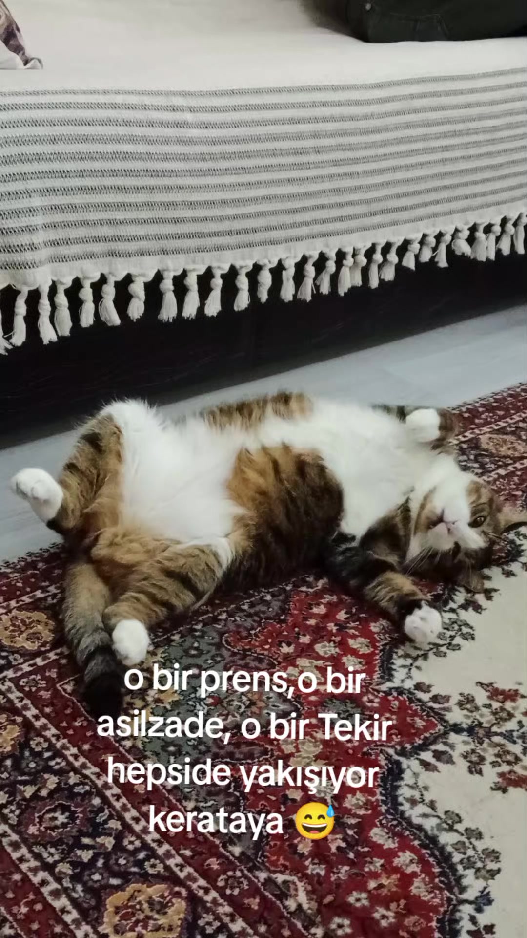 @şanslı