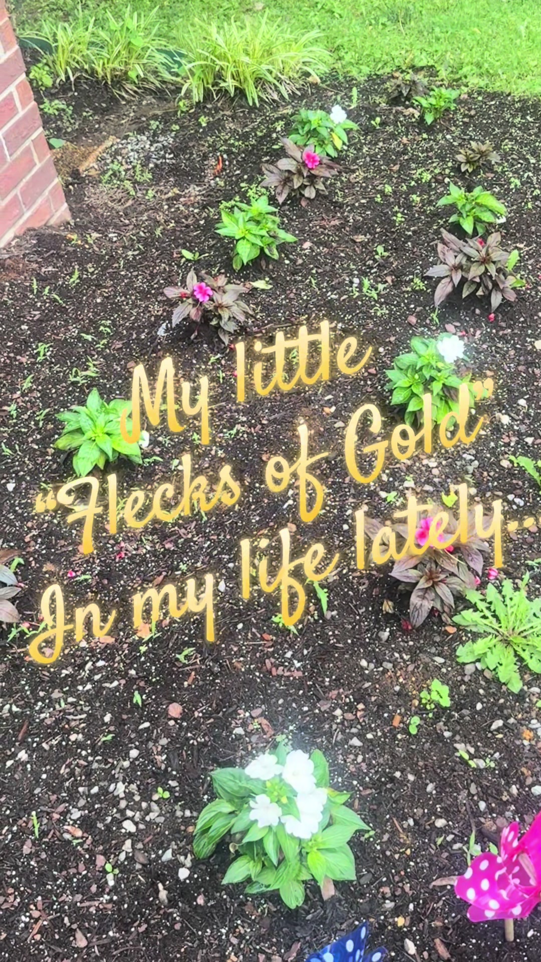 @Emily Bown | Mom Dietitian