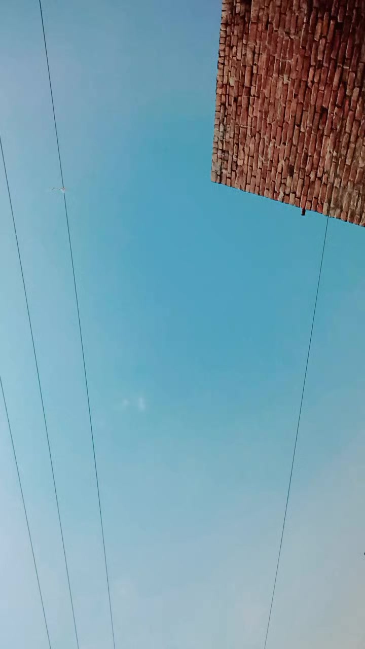@murtaza0011
