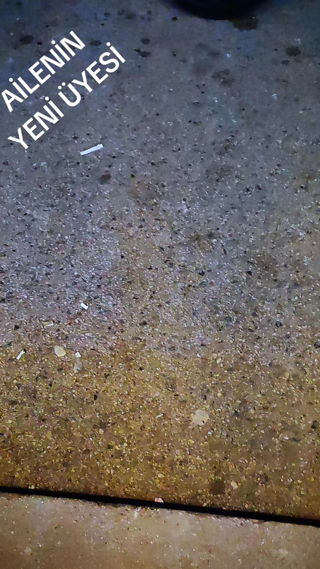 @YSF._R1