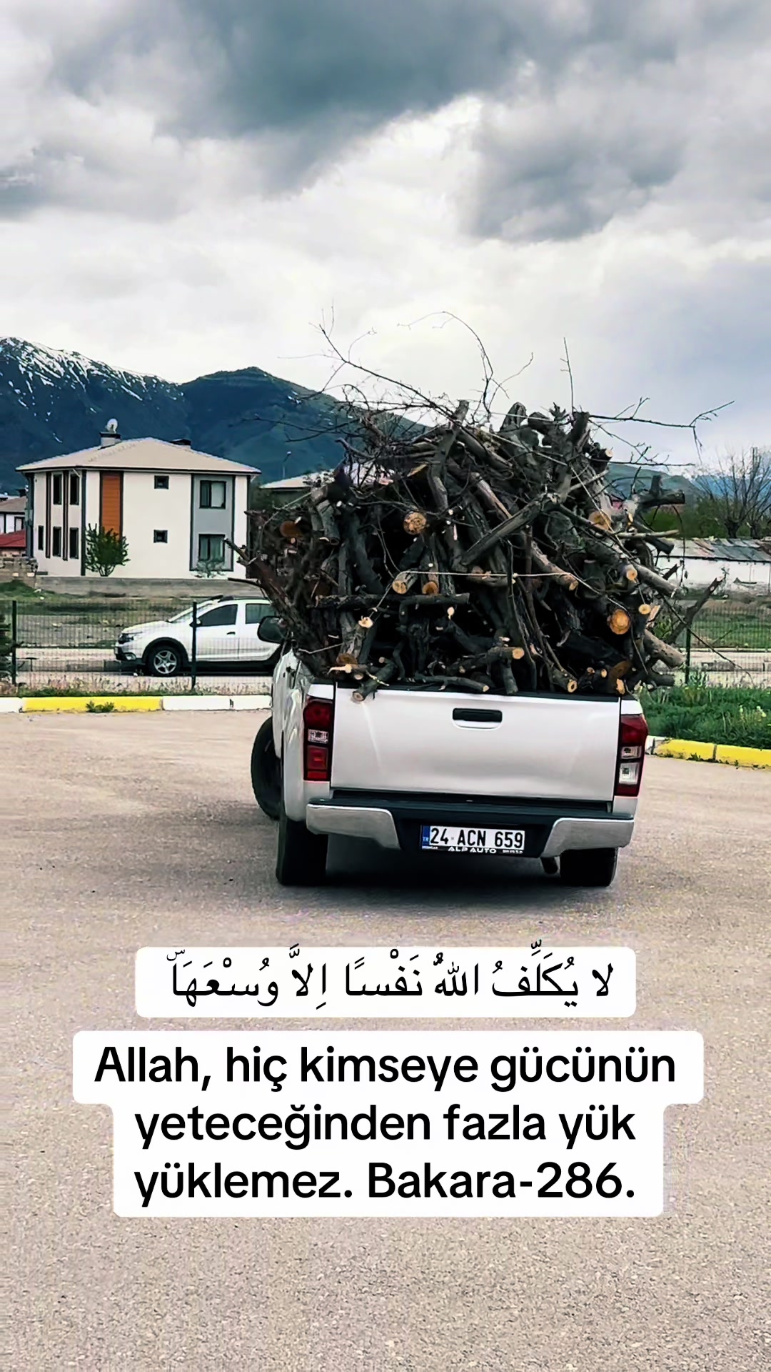 @SerhatSarı&ccedil;i&ccedil;ek