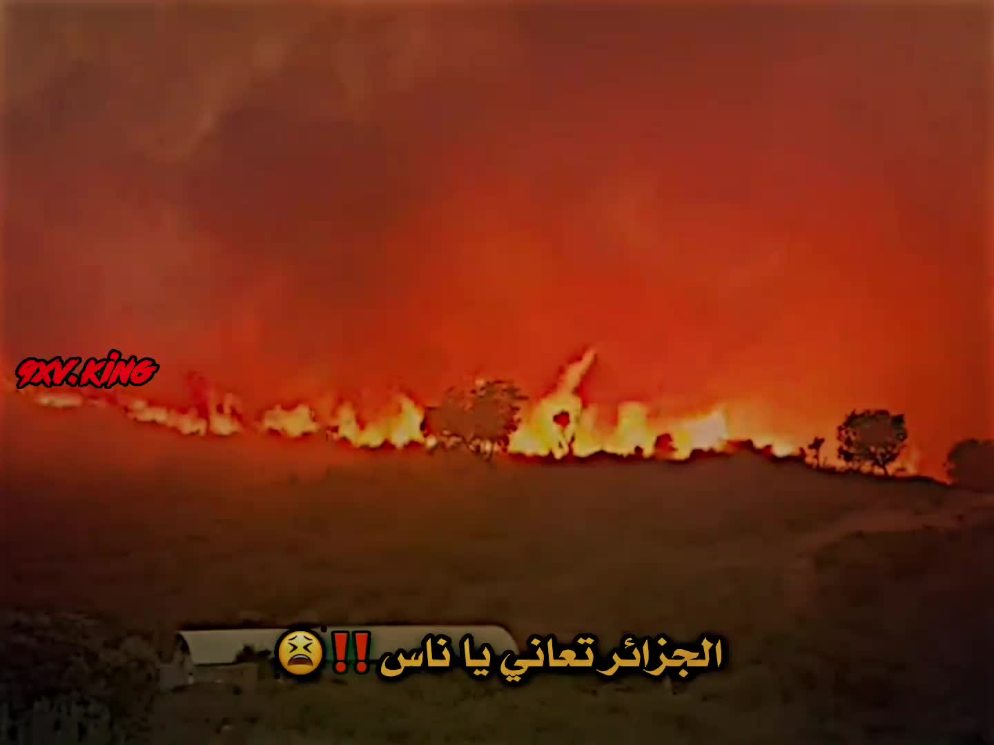 @الــصــيــفــوي🥷🏻🔥