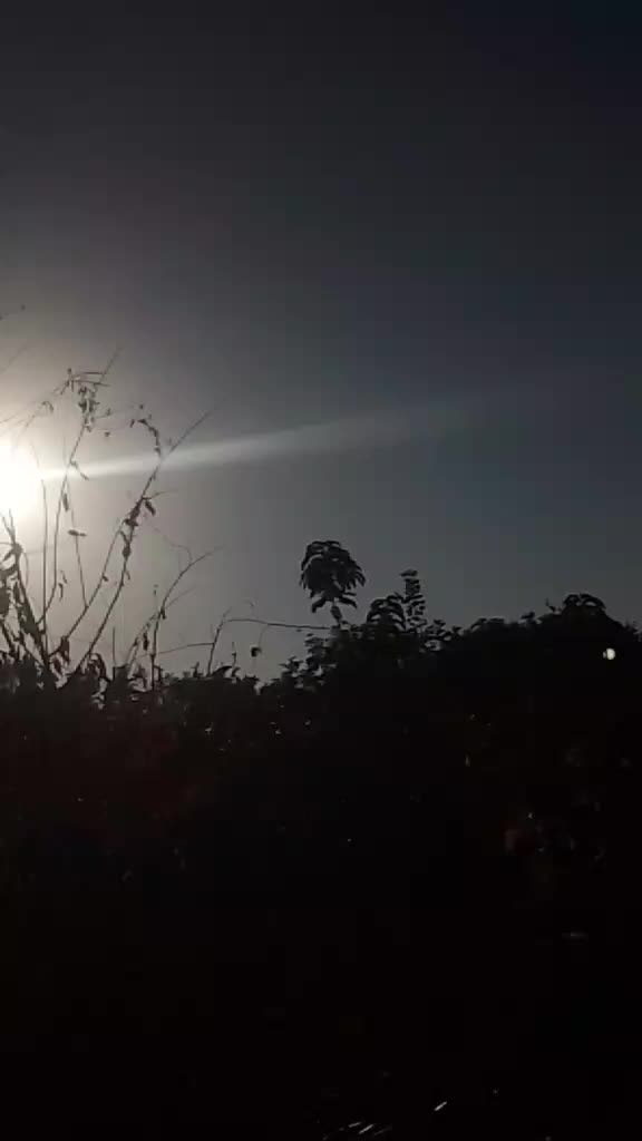 @ataldadany115