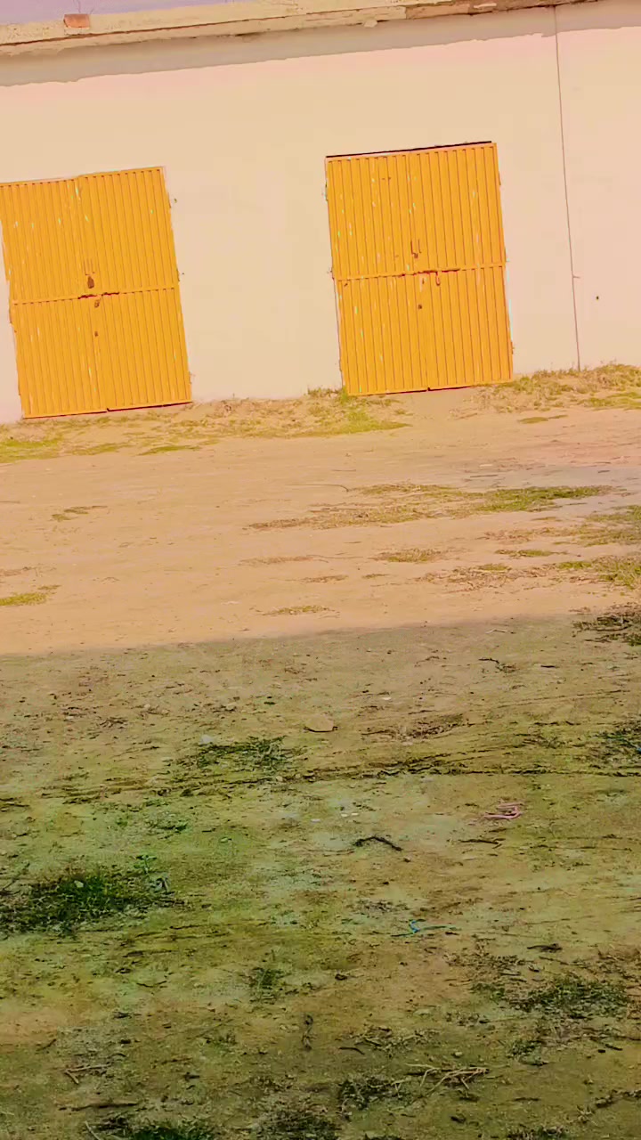 @user9134546560731