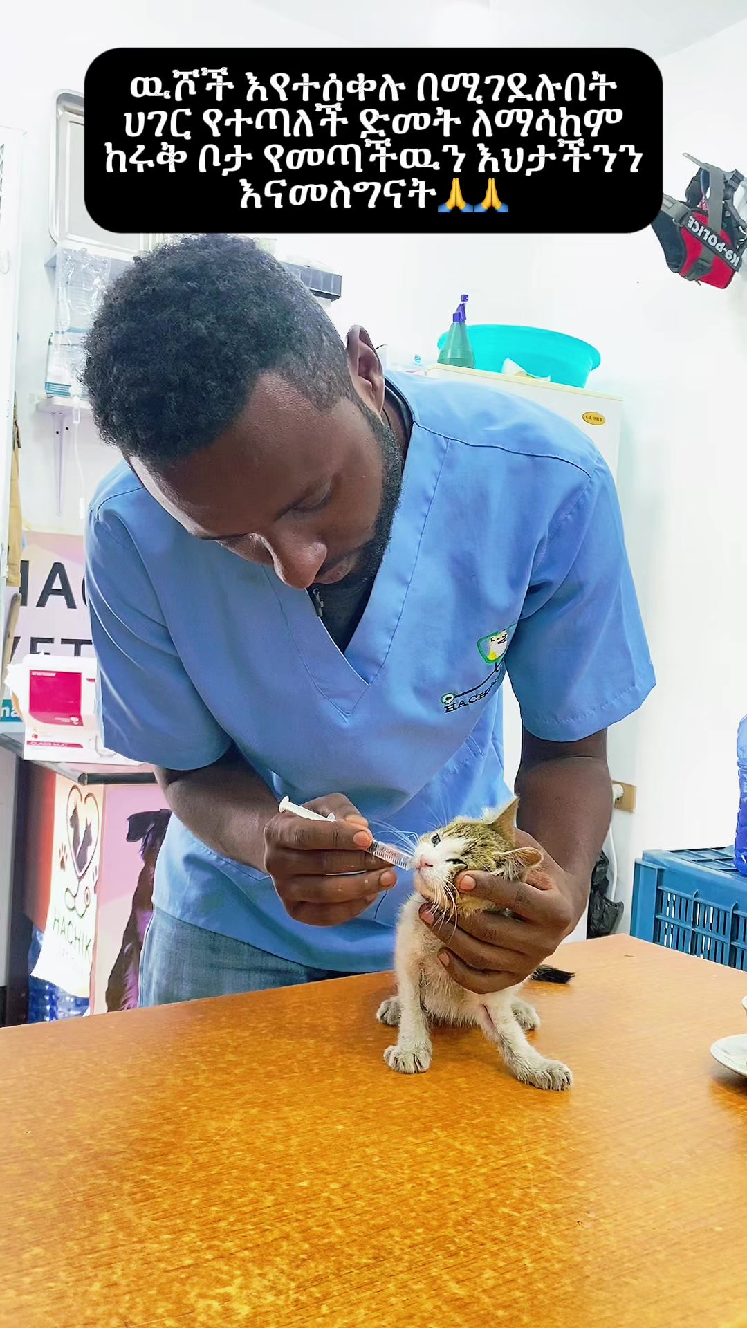 @Hachiko_Vet_Clinic