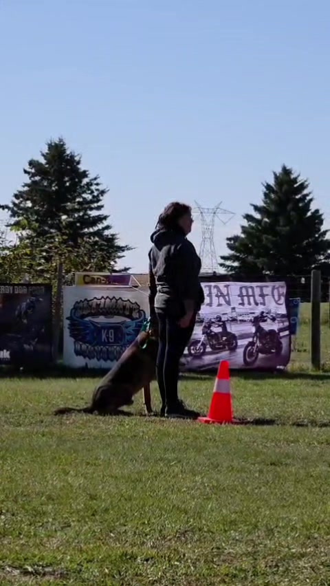 @RaisingHell.Hounds🇨🇦