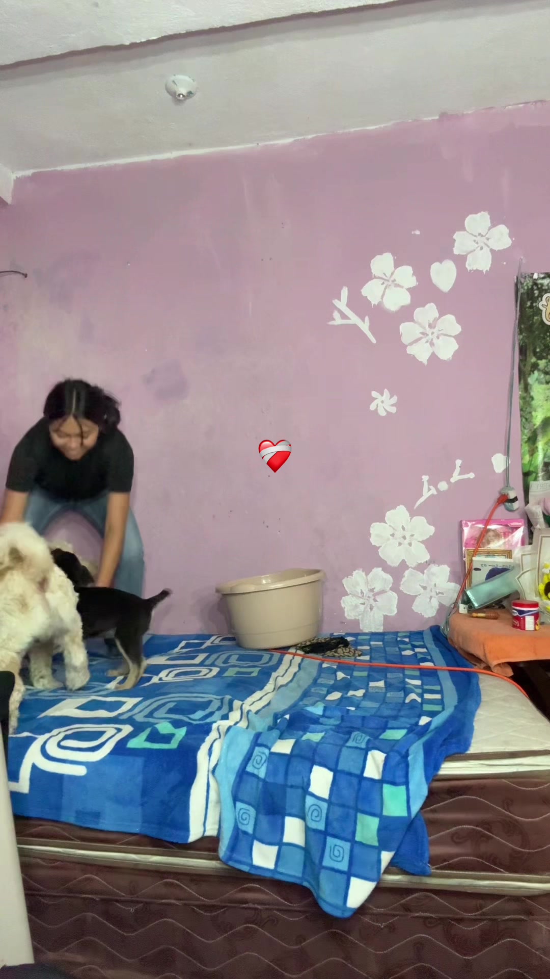 @โ๏ธ๐ฃ๐พ๐๐๐พ๐ป
