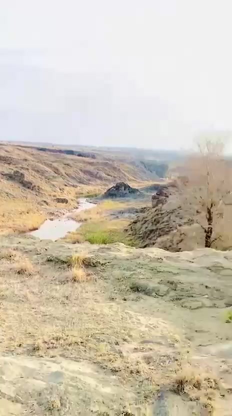 @Malik Ali 51244