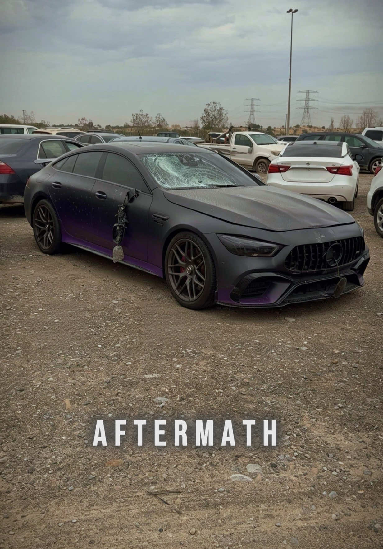 @🦈💜