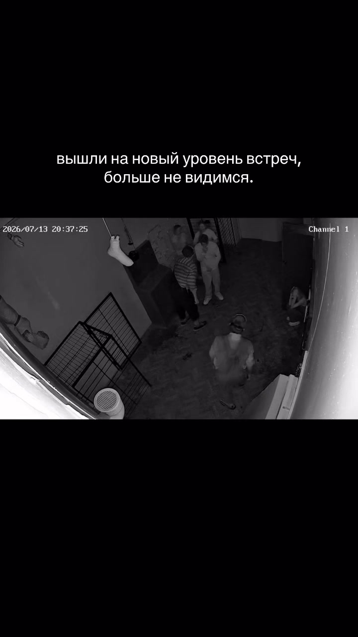 @полина зая