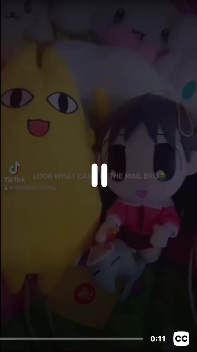 @Lottie archive