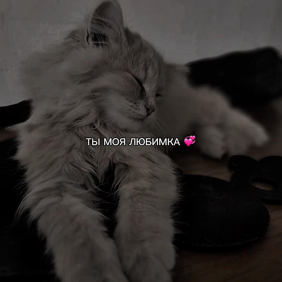 @ХХИКА