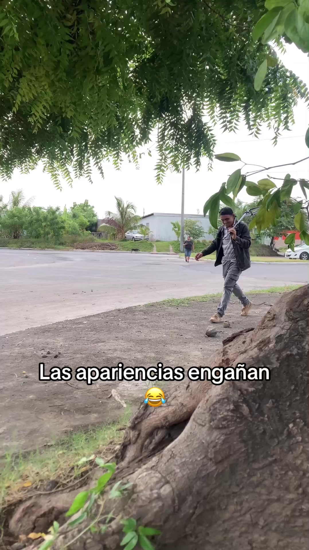 @Él torombolo oficial ✅