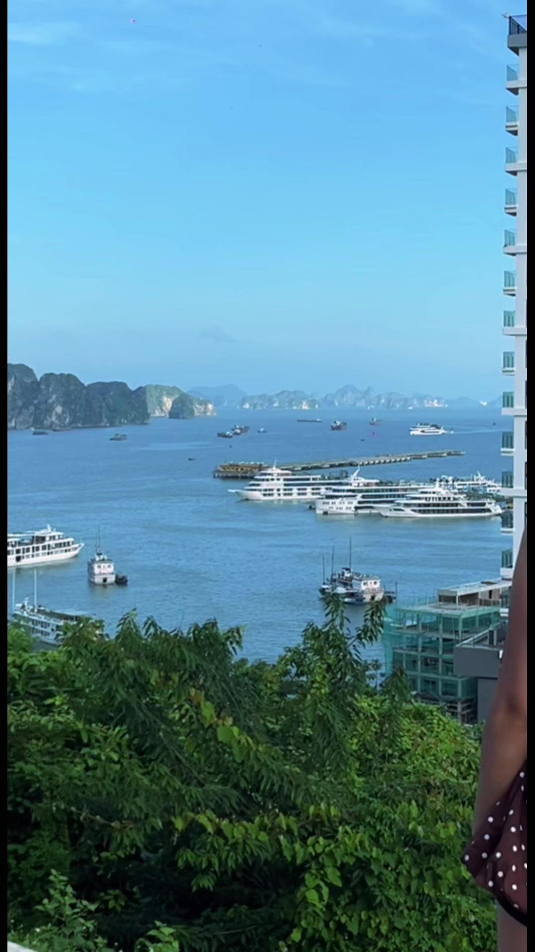 @B&iacute;ch Hườnggg 🐳