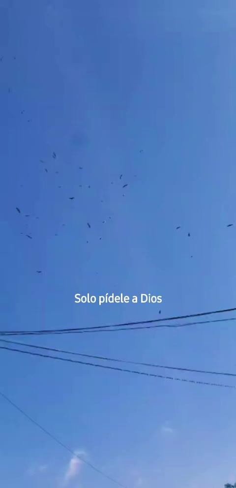 @mary saloj
