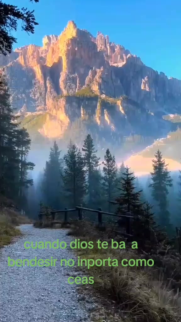 @seguidor de jesus