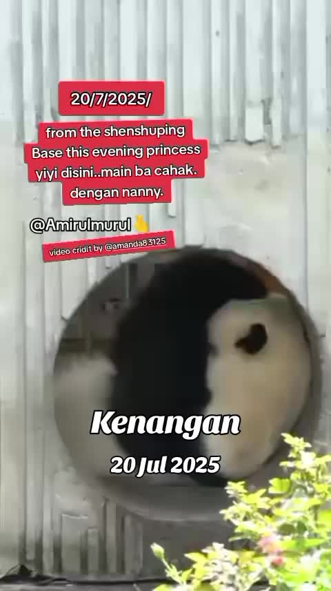 @AmirulMirul3