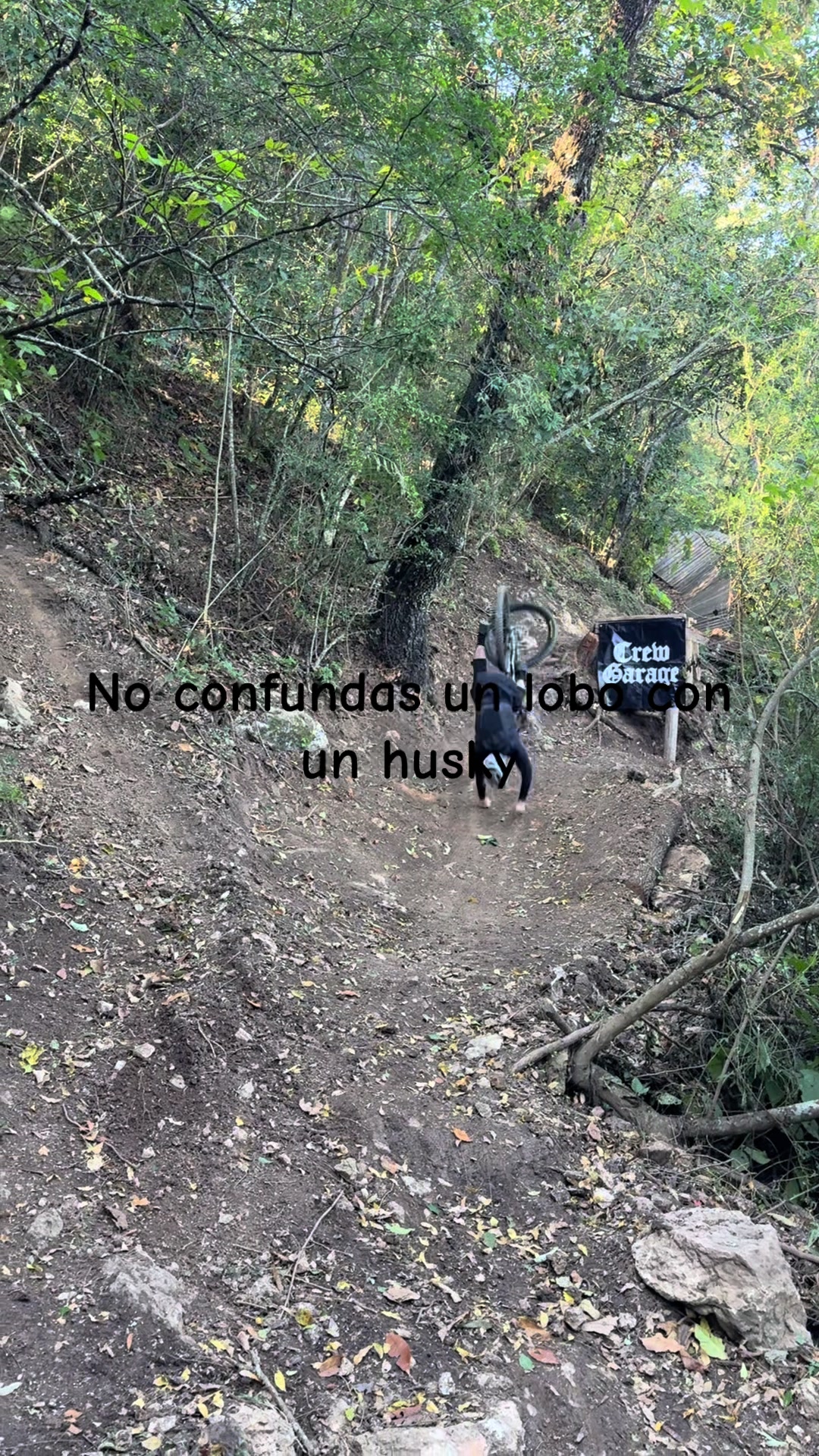 @Jose Ernesto Rodrigu
