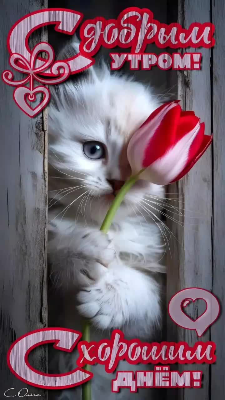 @user868645 Лидия. Срывова.