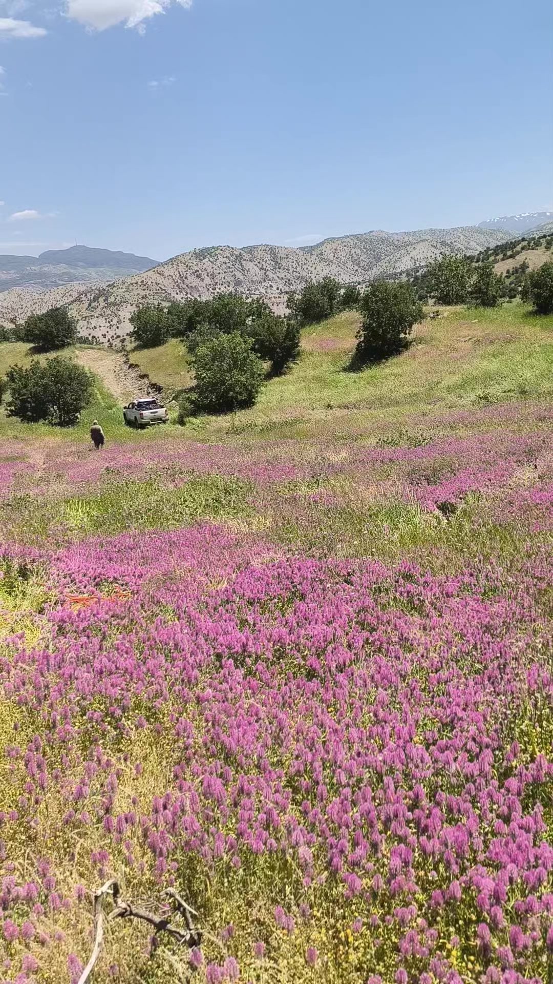 @Nezir Kılı&ccedil;