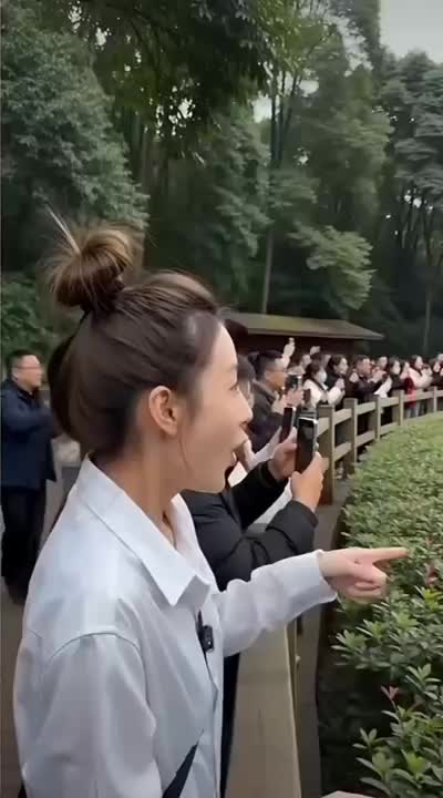 @Funny