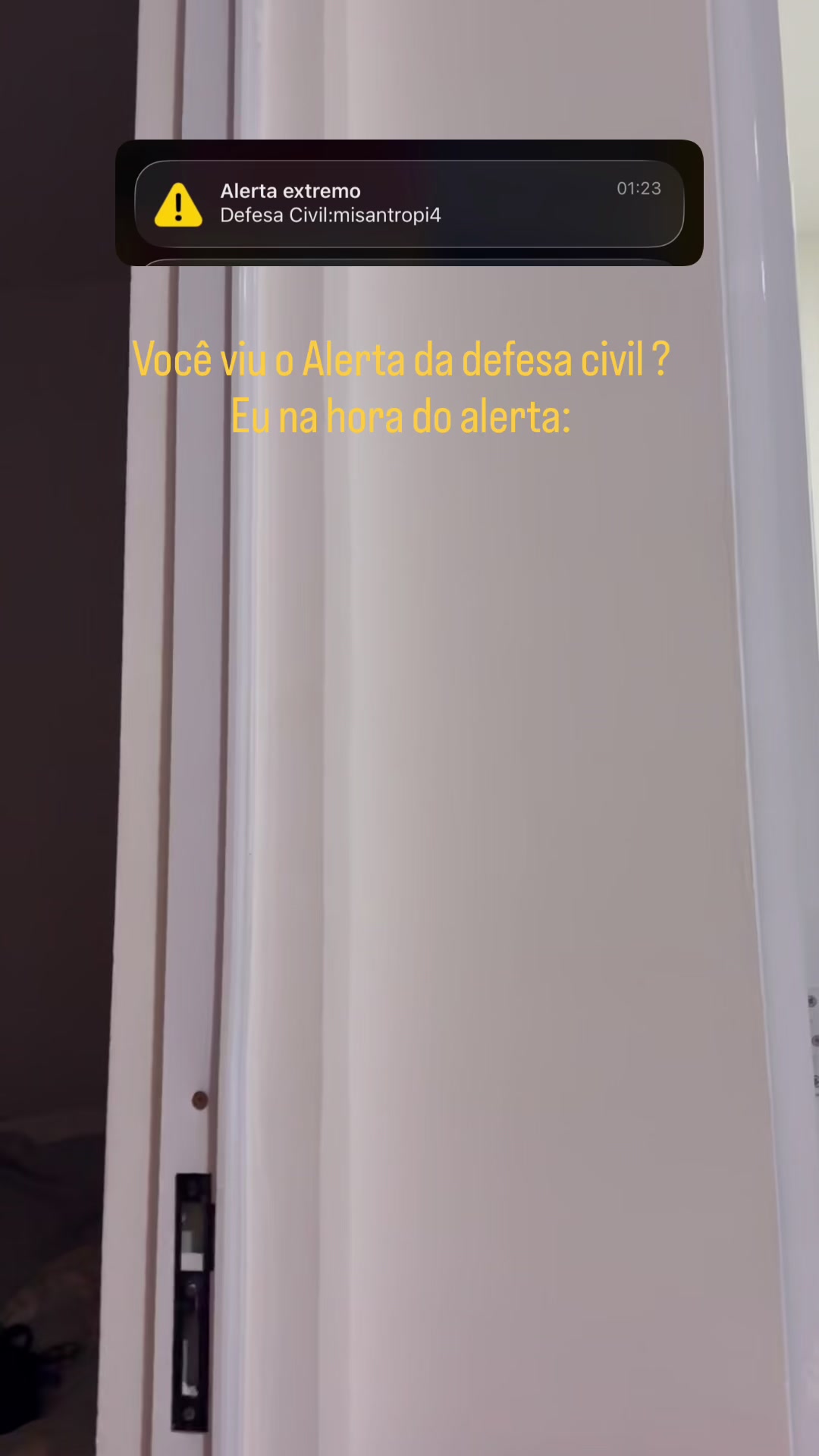 @Vinicius Borges