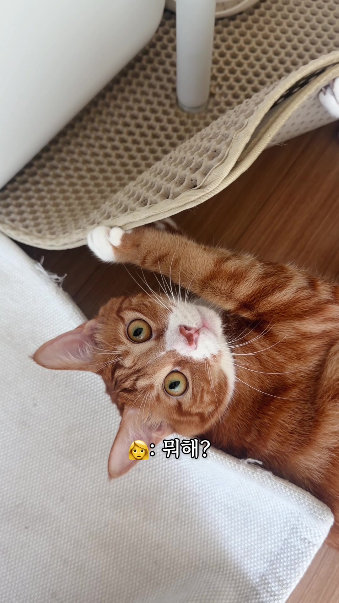 @뮤춘삼