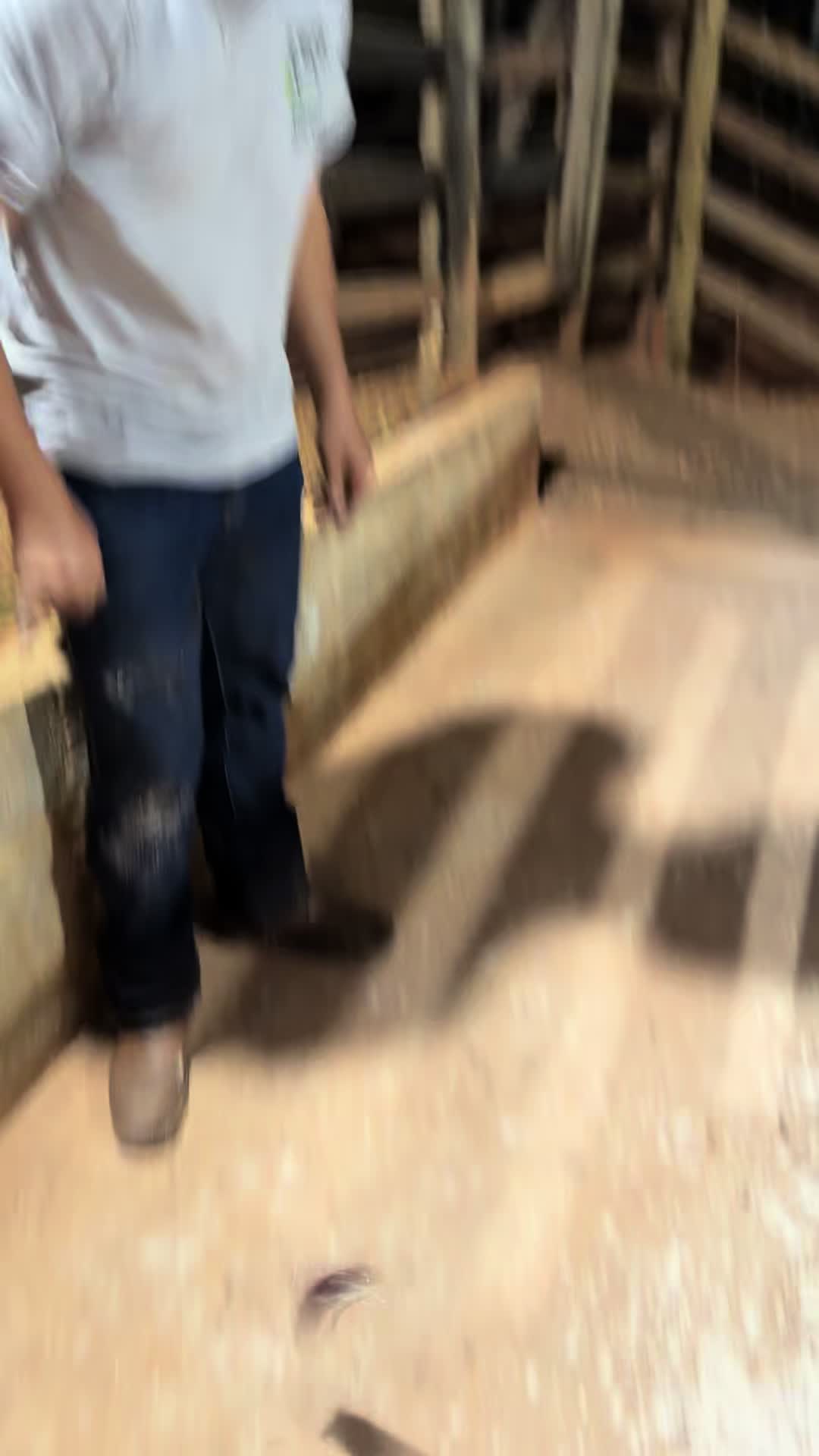 @Fabrício Vieira