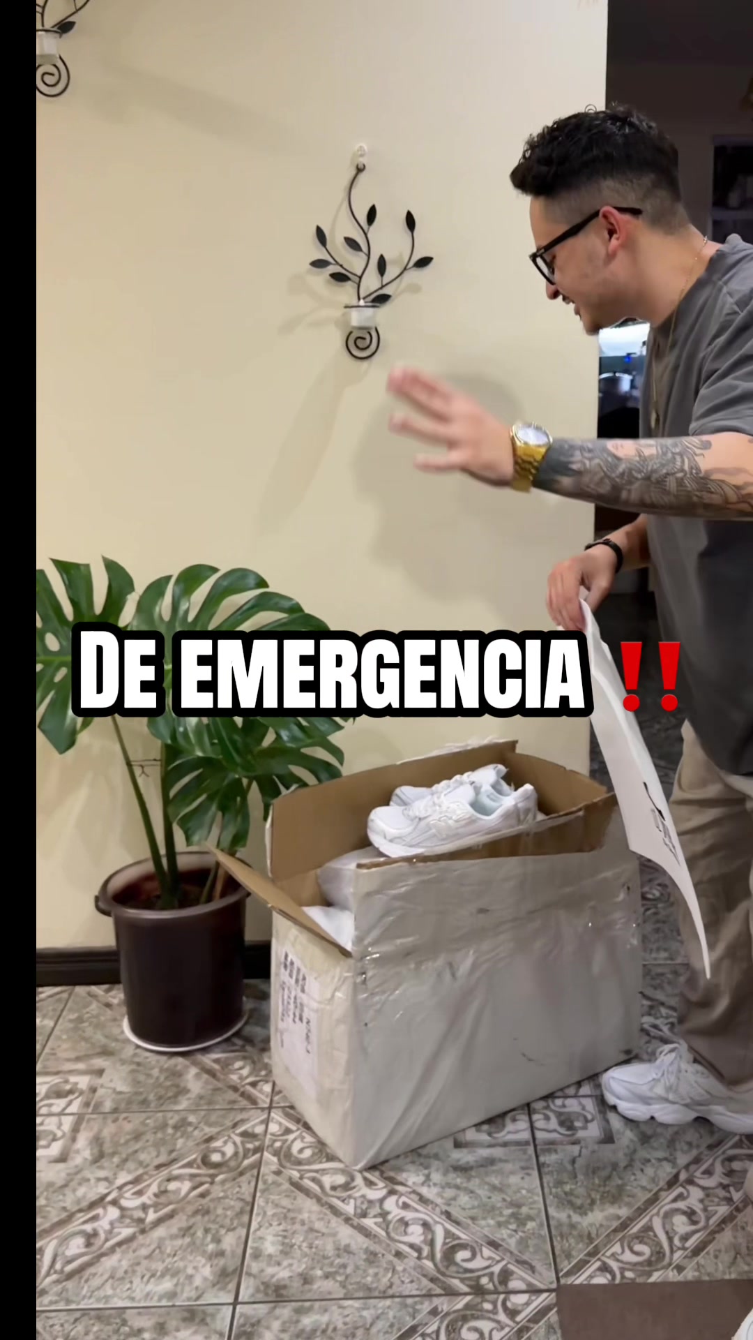 @Dealer Sneakers