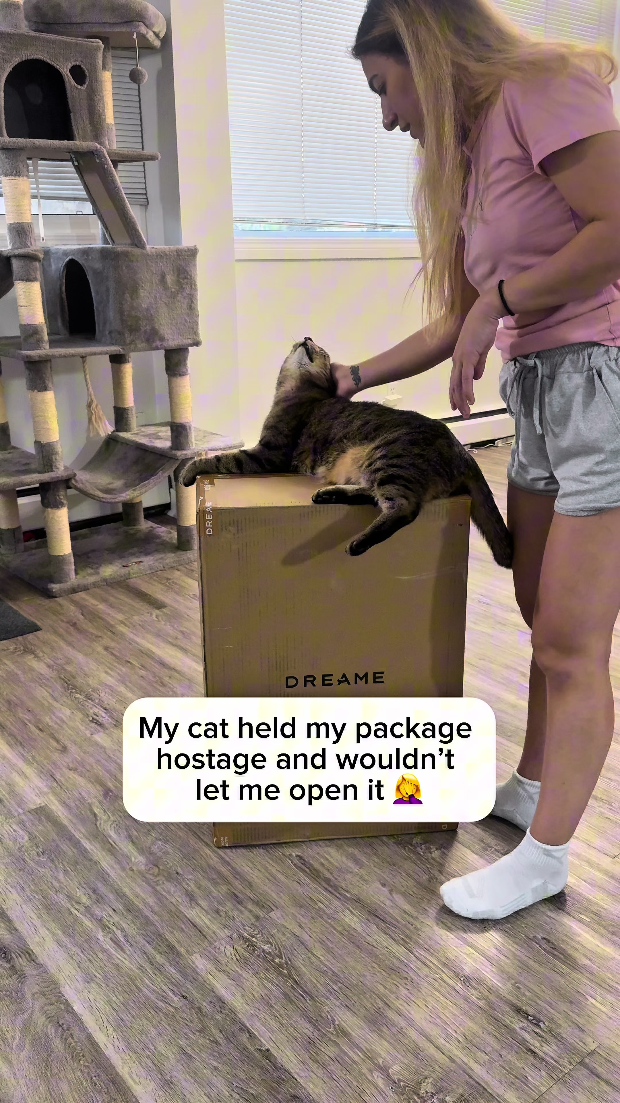 @Three Nawty Cats