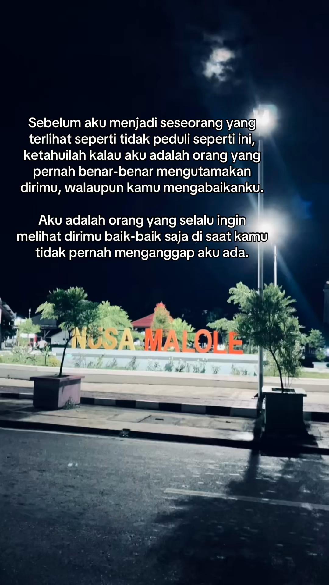 @manleosdl