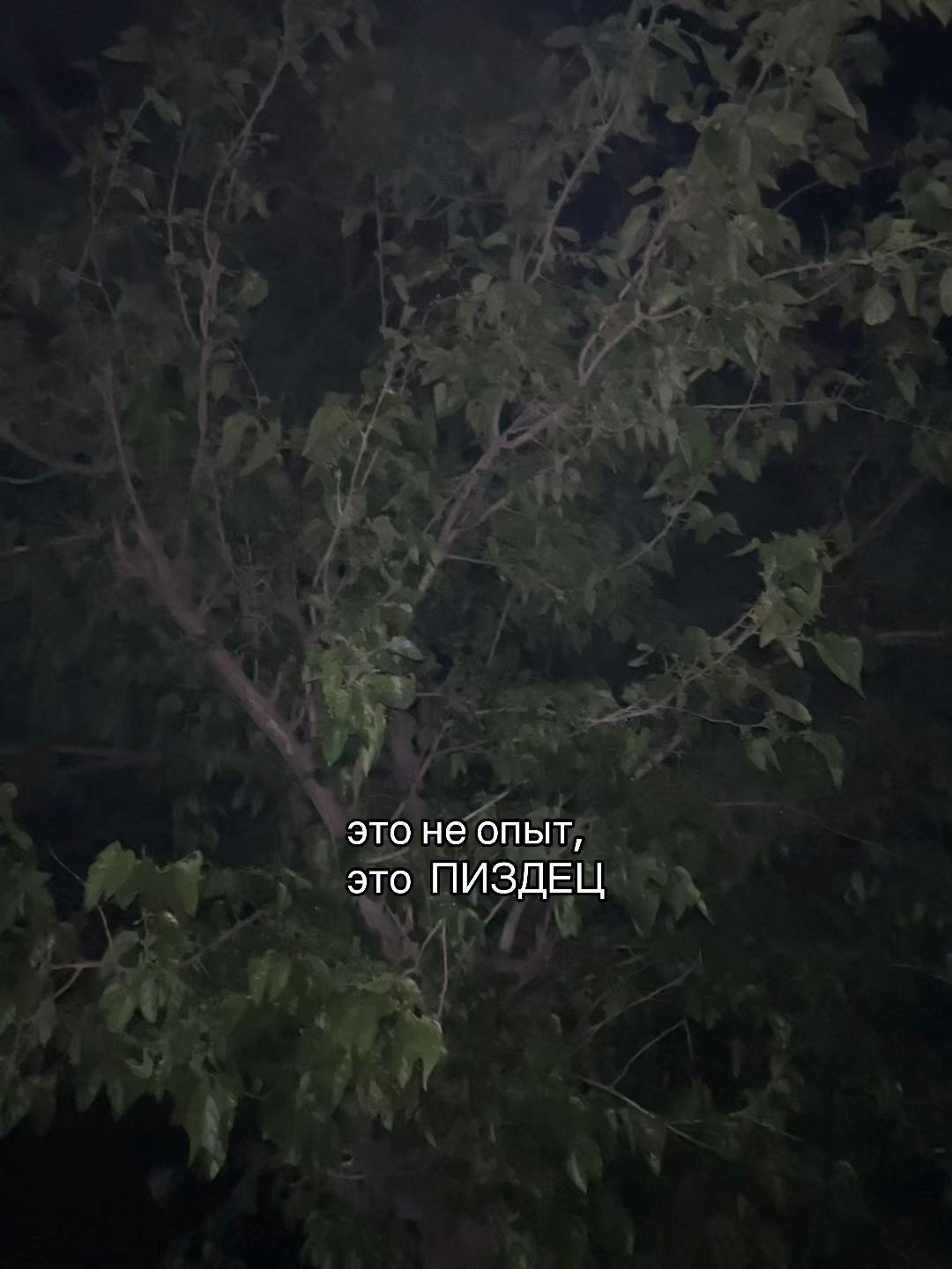 @Твой личный психолог