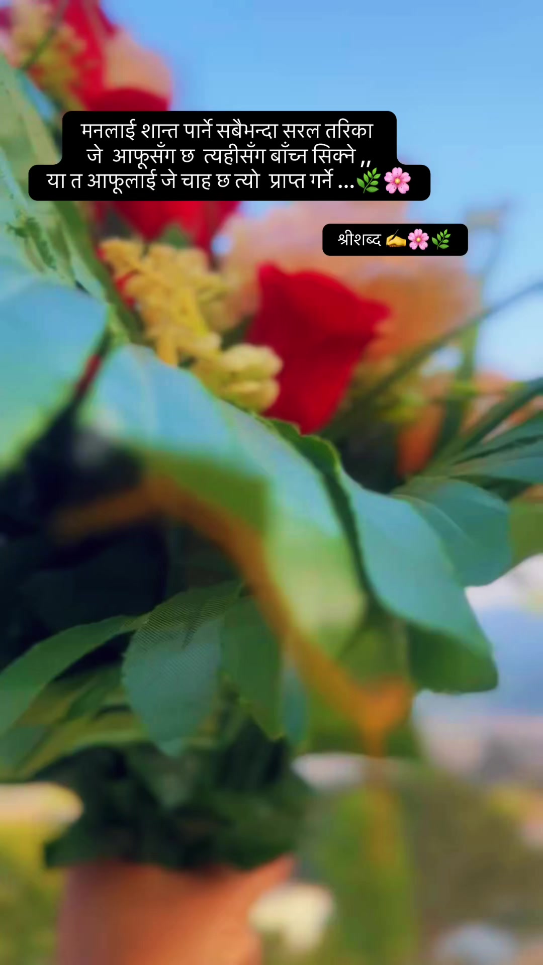 @🌿श्रीशब्द&hellip;.✍️🕊️🍁🍂
