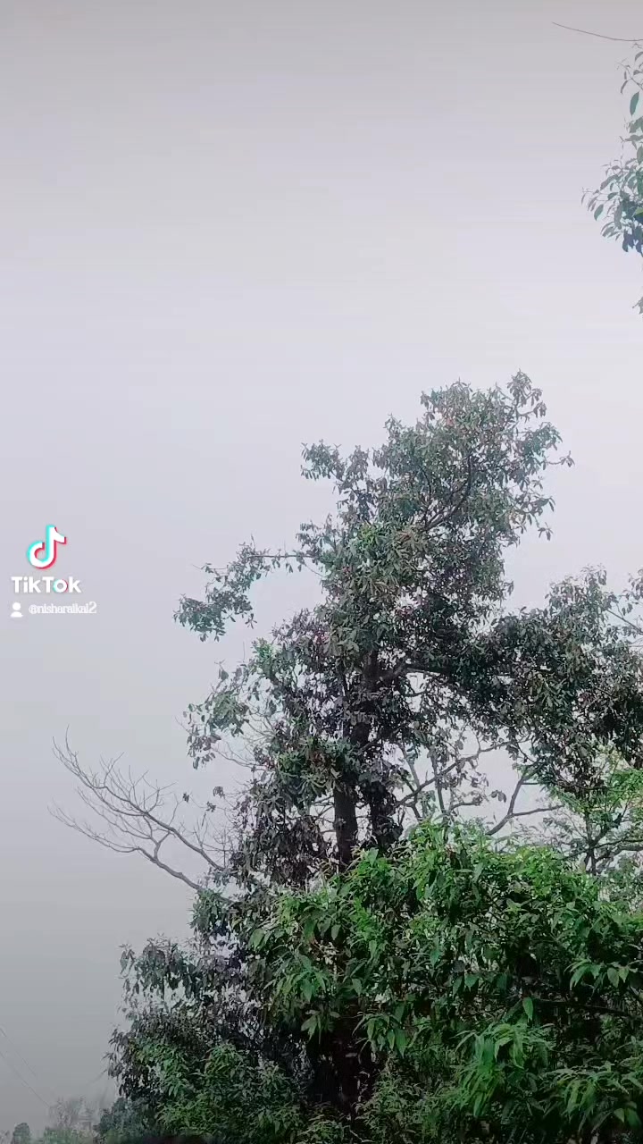 @Nisha raikal