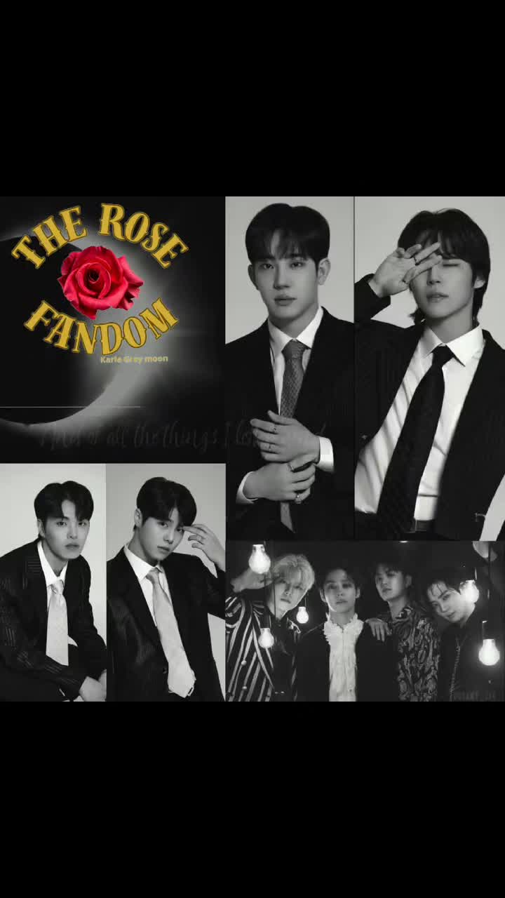 @The Rose - fã