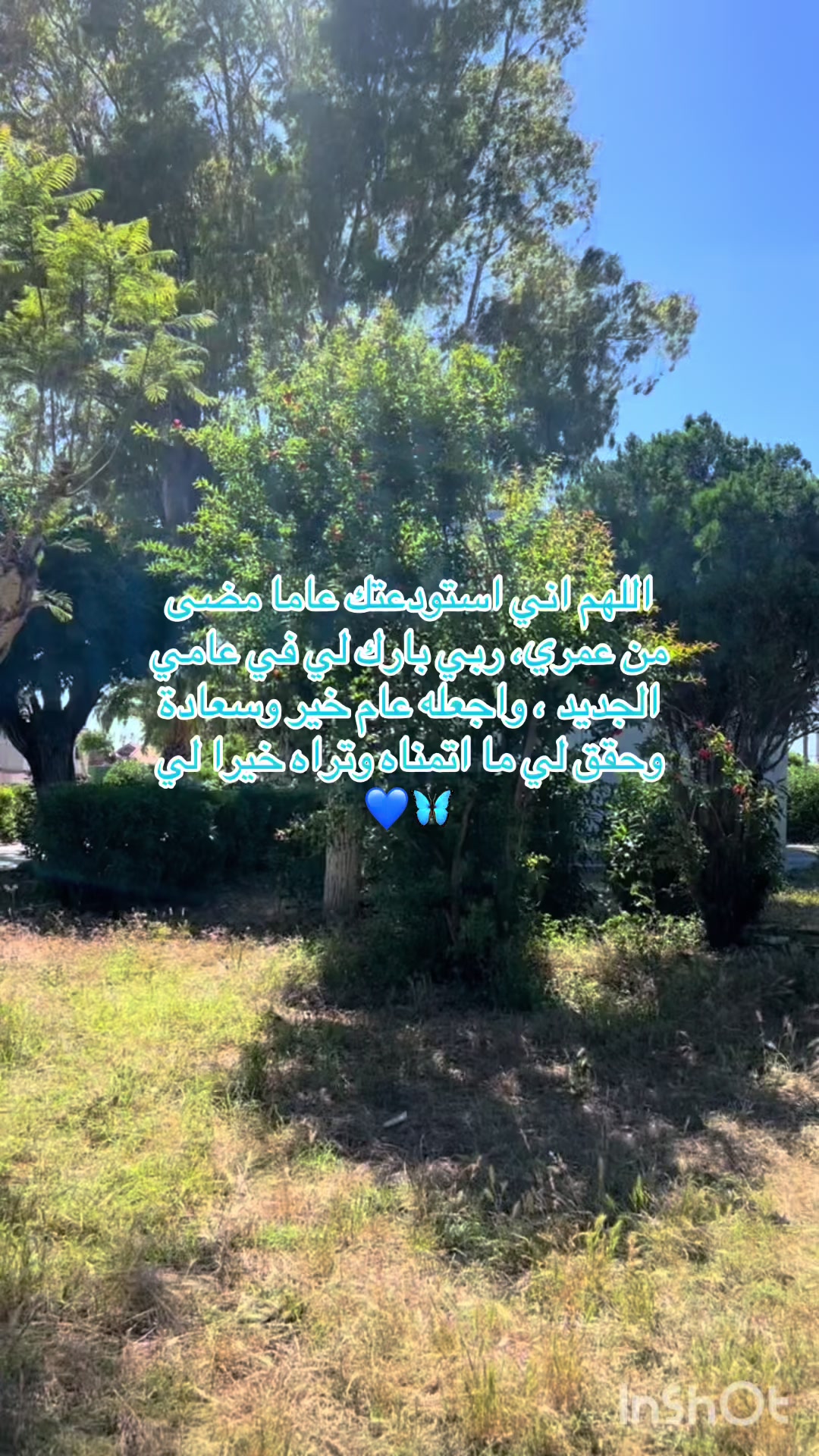 @Kaouther ✨