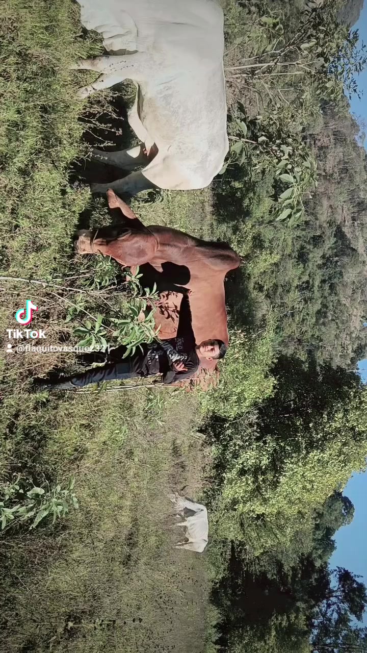 @Eliber123