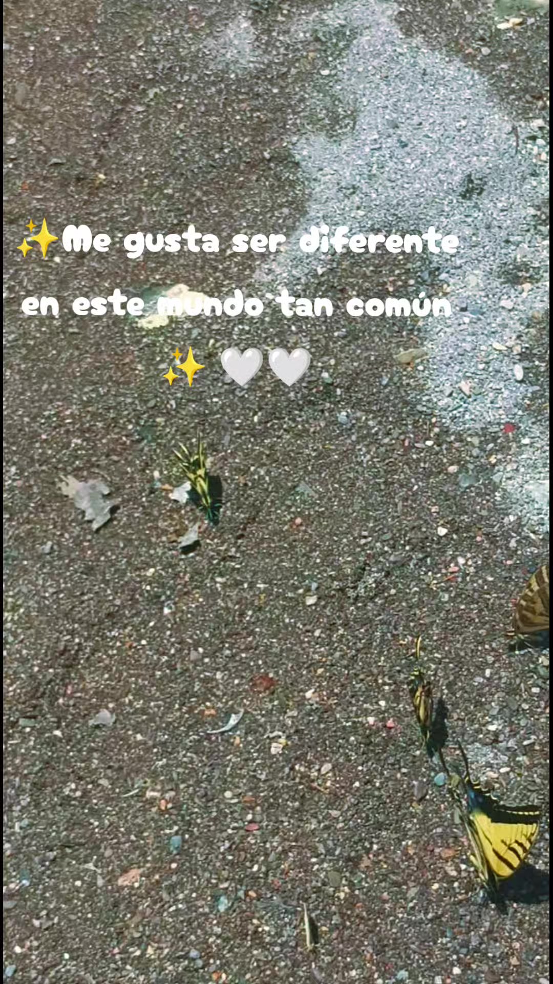 @Espinoza
