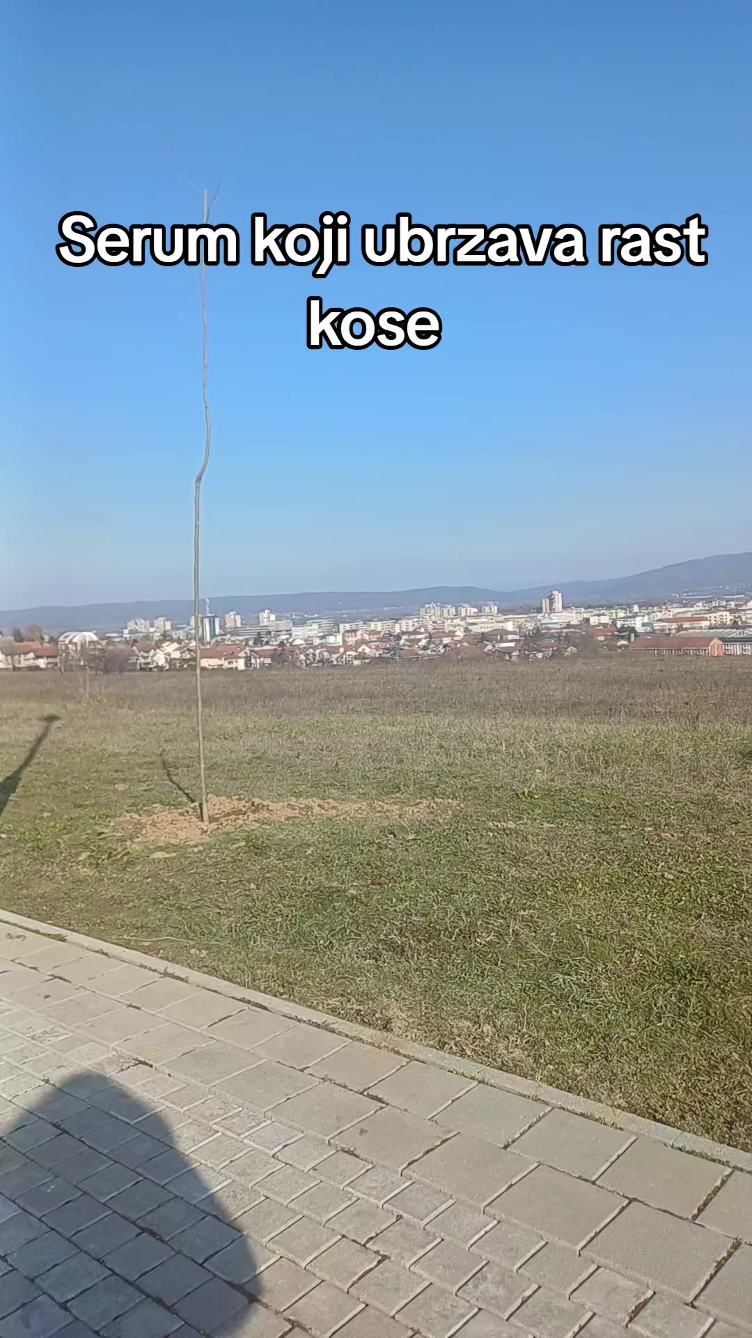 @Kruna sjaja