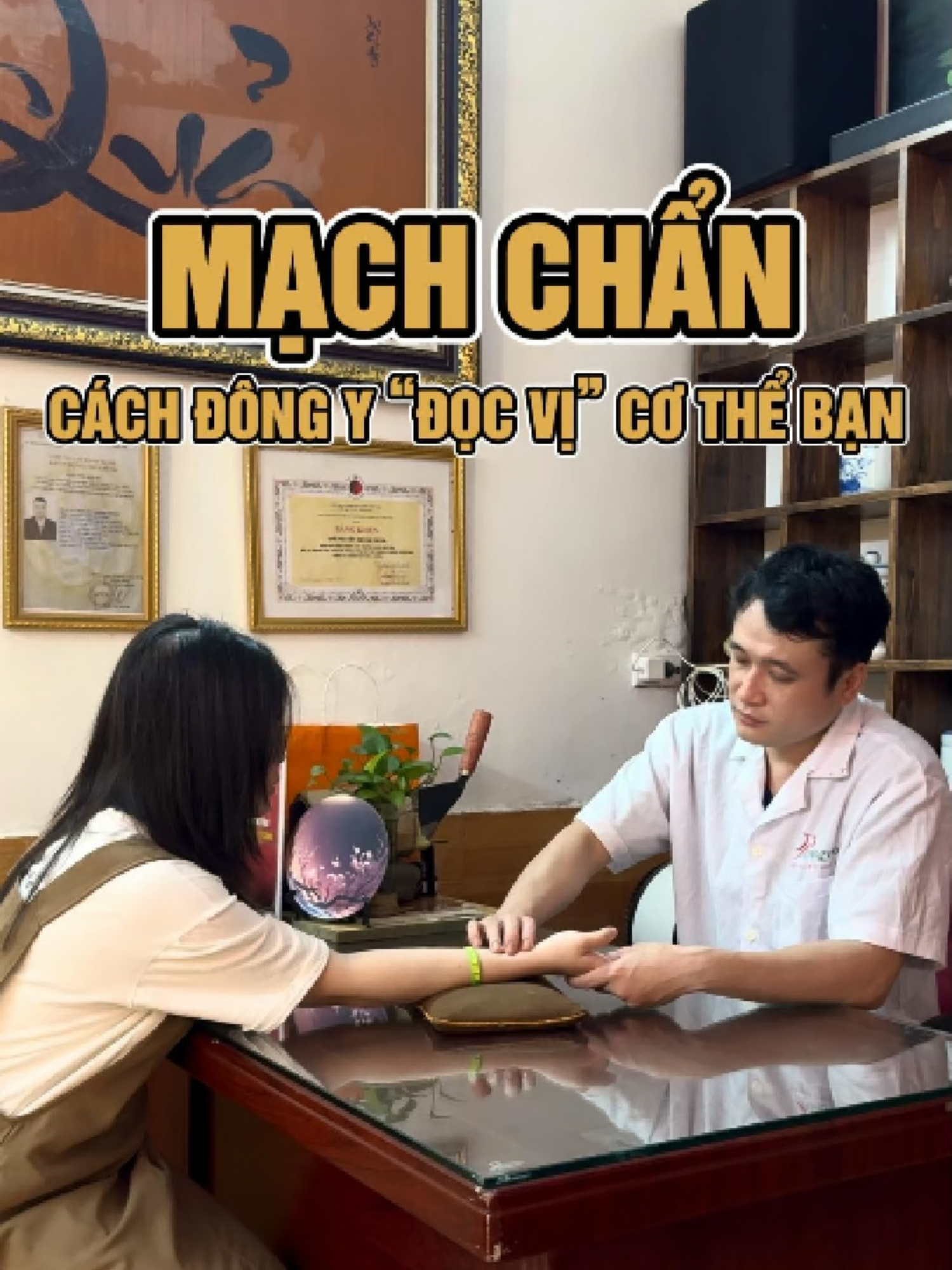 @Triều Gia Y Dưỡng