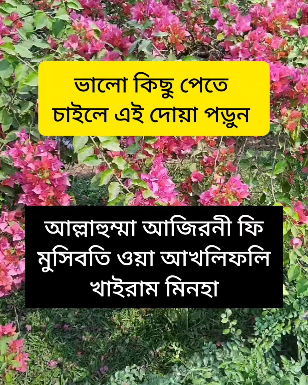 @cuisine_house